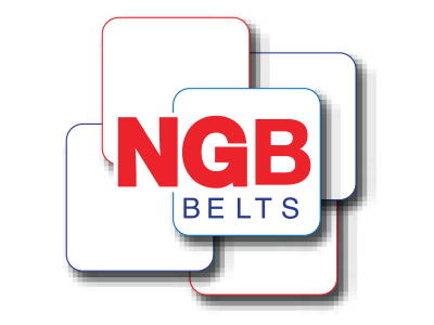Logo NGB